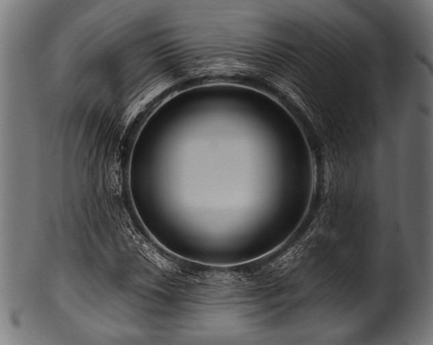 X0000100951018200806241458