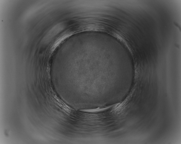 X0000100951019200806241458