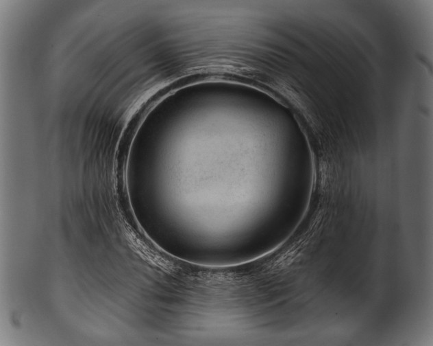 X0000100951020200806241458