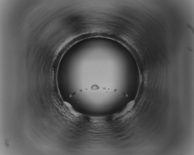 X0000100951021200806241458