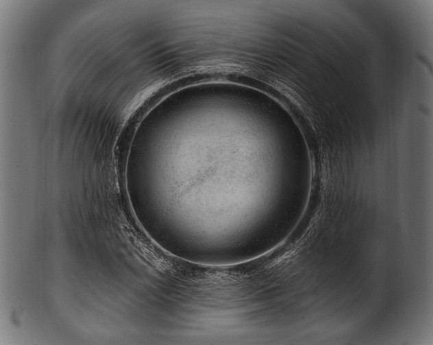 X0000100951022200806241458