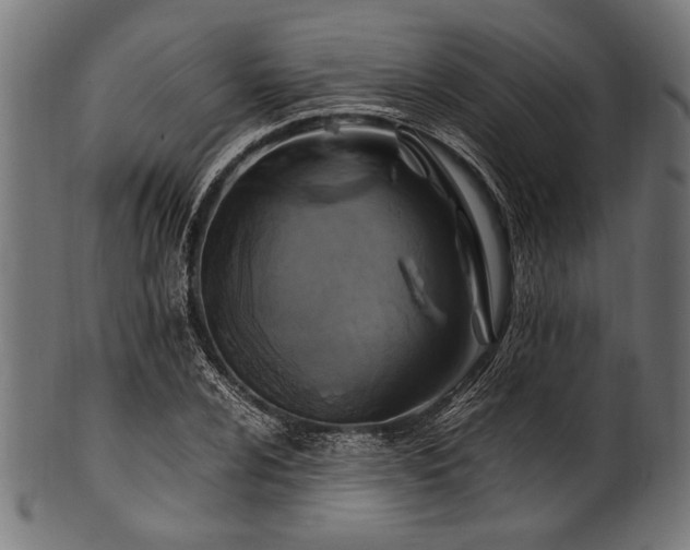 X0000100951024200806241458