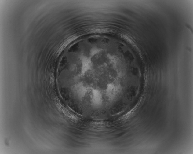 X0000100951025200806241458