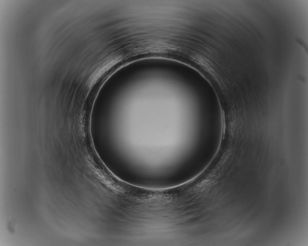 X0000100951026200806241458
