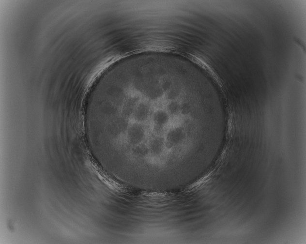 X0000100951027200806241458
