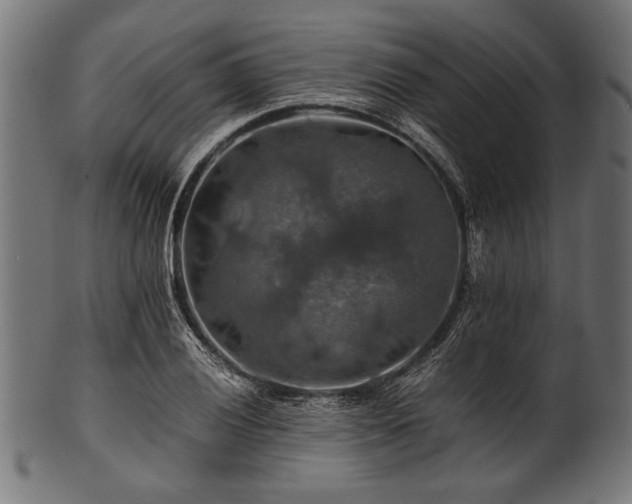 X0000100951028200806241458