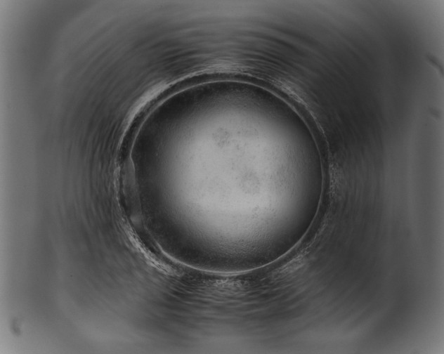 X0000100951029200806241458