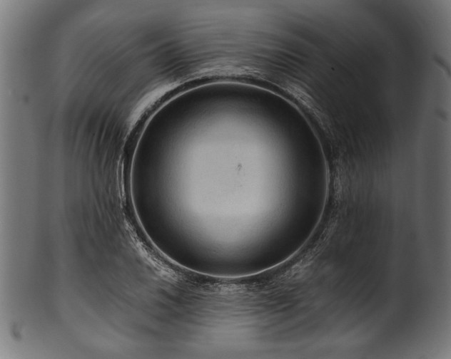 X0000100951030200806241458
