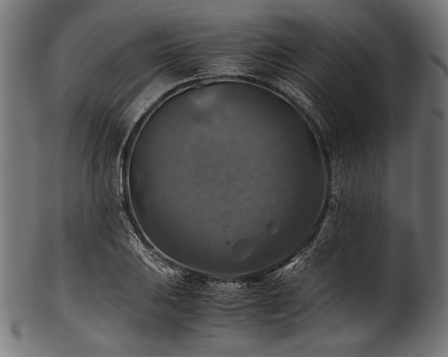 X0000100951031200806241458
