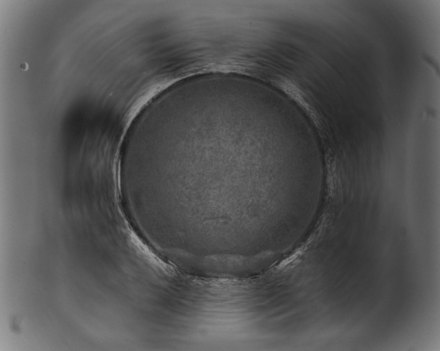 X0000100951032200806241458