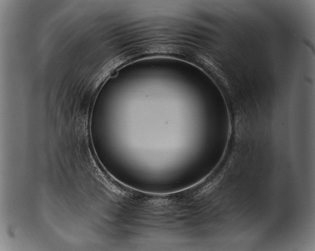 X0000100951033200806241458