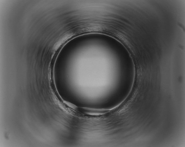X0000100951034200806241458