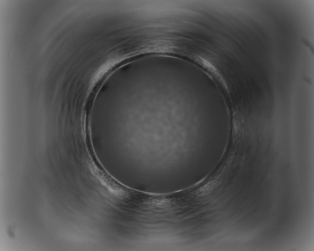 X0000100951035200806241458