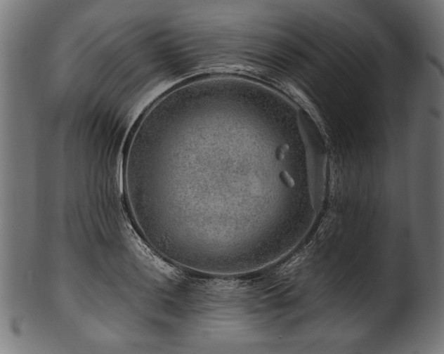 X0000100951036200806241458