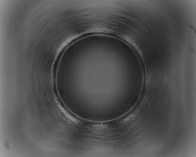 X0000100951037200806241458