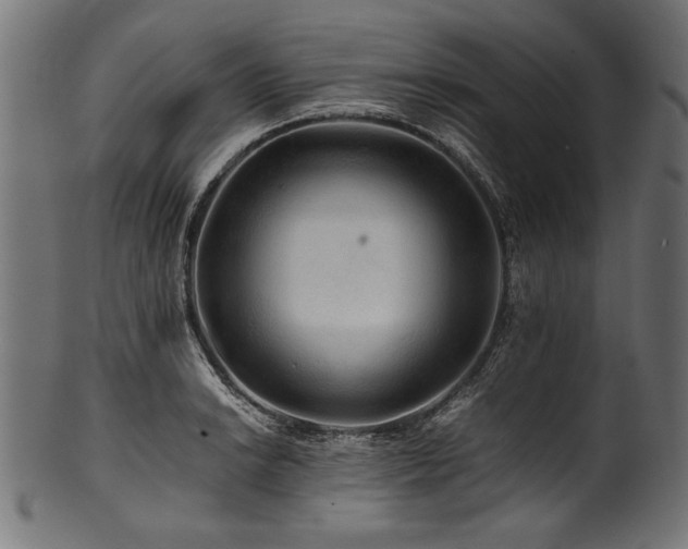 X0000100951038200806241458