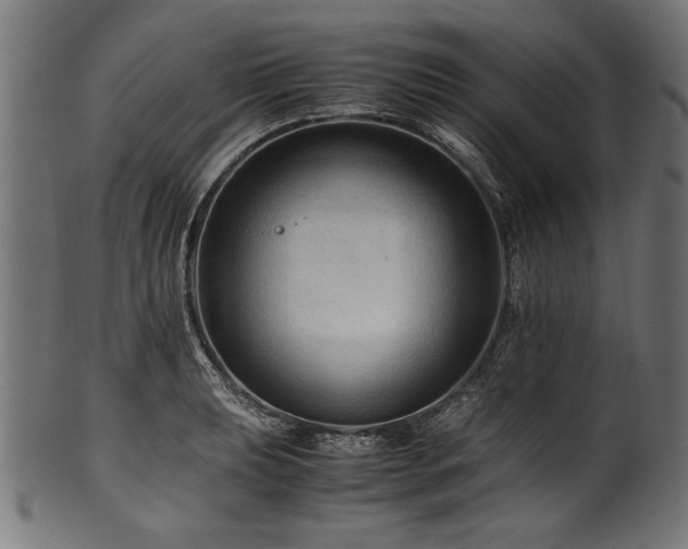 X0000100951039200806241458