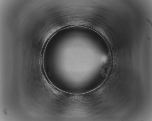 X0000100951040200806241458