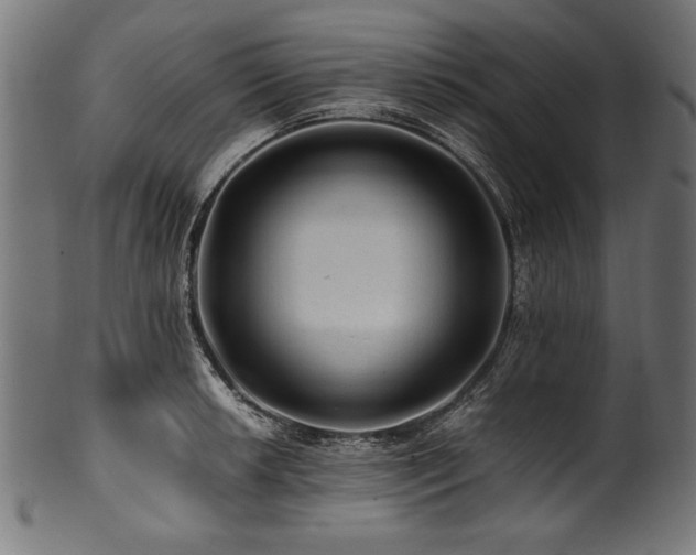 X0000100951042200806241458