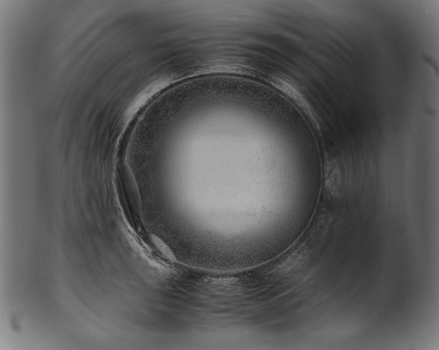 X0000100951043200806241458