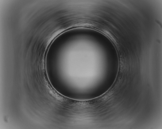 X0000100951044200806241458