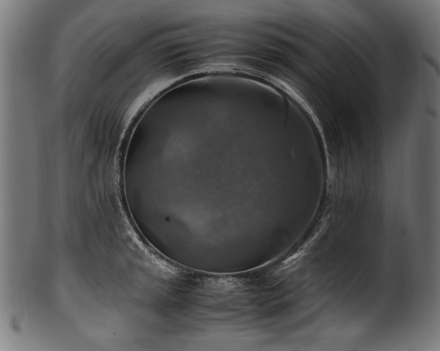 X0000100951045200806241458
