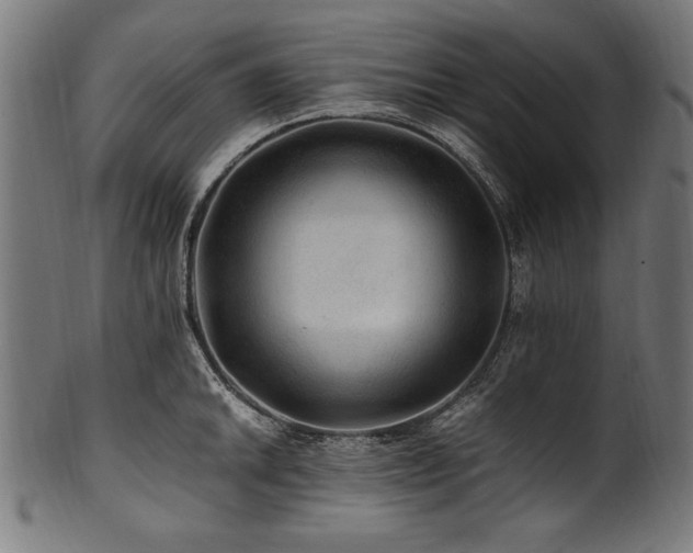 X0000100951046200806241458