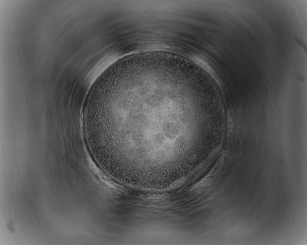 X0000100951047200806241458