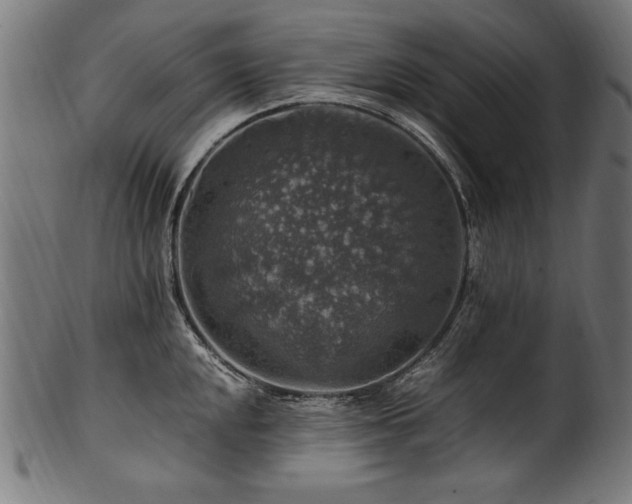 X0000100951048200806241458