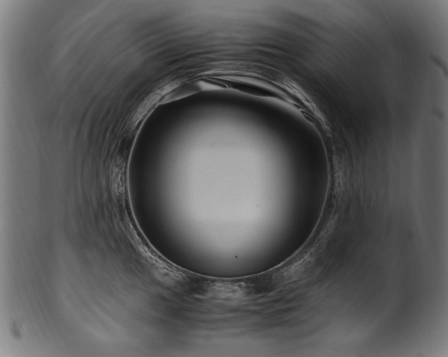 X0000100951049200806241458