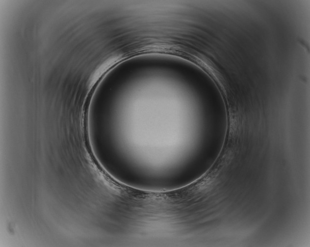 X0000100951050200806241458