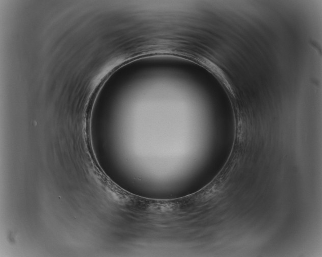 X0000100951051200806241458