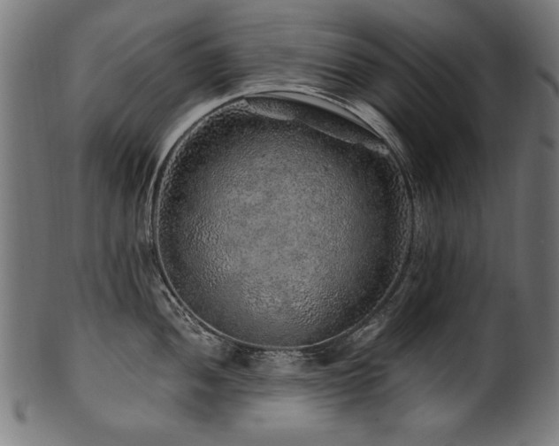 X0000100951052200806241458