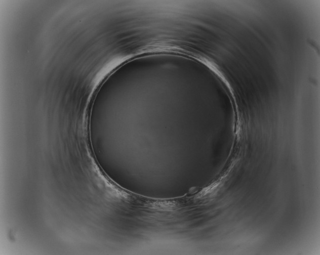 X0000100951053200806241458