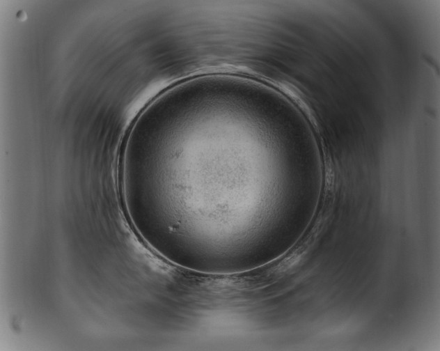 X0000100951054200806241458