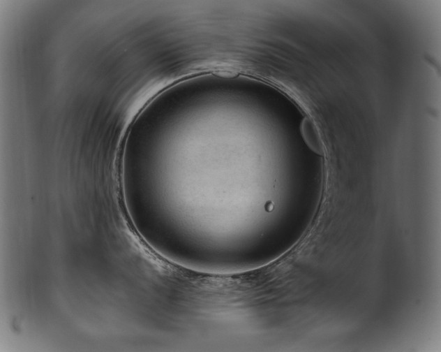 X0000100951056200806241459