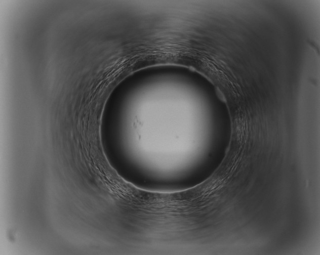 X0000100951057200806241458
