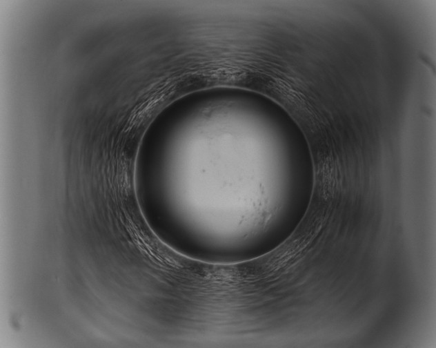 X0000100951058200806241458