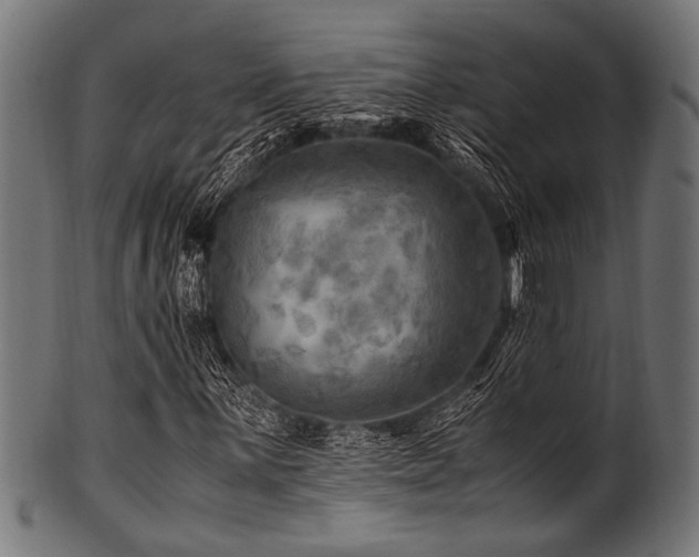 X0000100951059200806241458