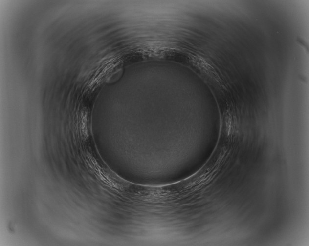 X0000100951060200806241458