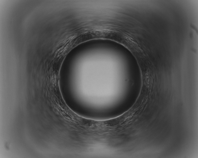 X0000100951061200806241458