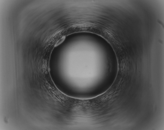 X0000100951062200806241458