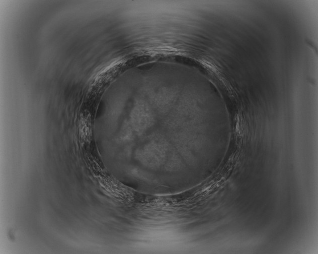 X0000100951063200806241458