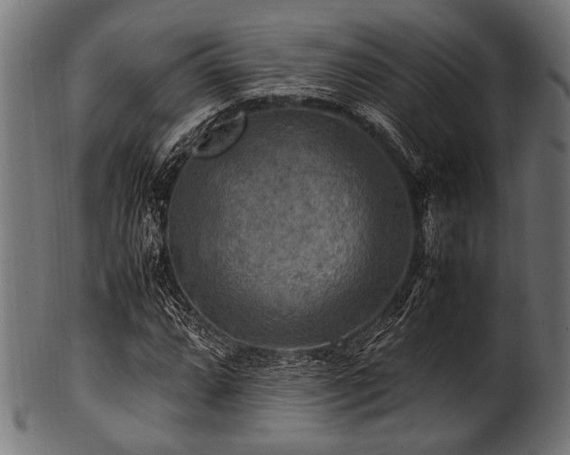 X0000100951064200806241458