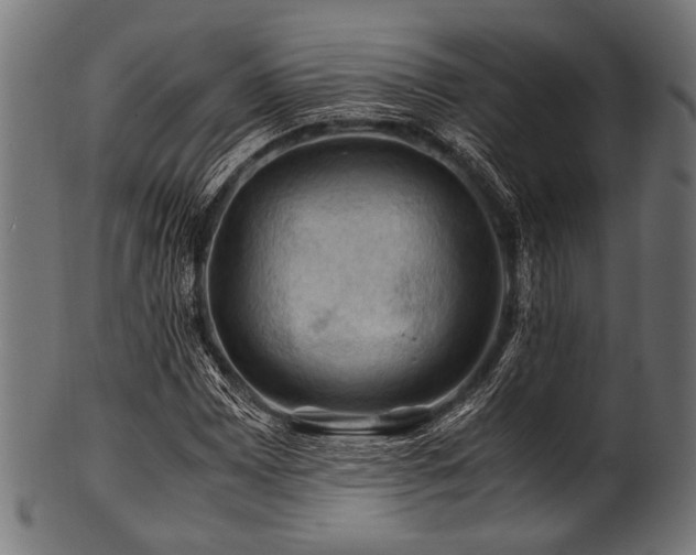 X0000100951065200806241458