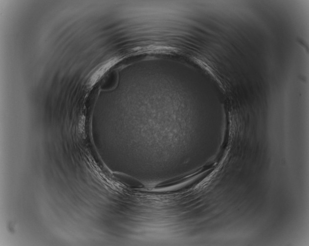 X0000100951066200806241458