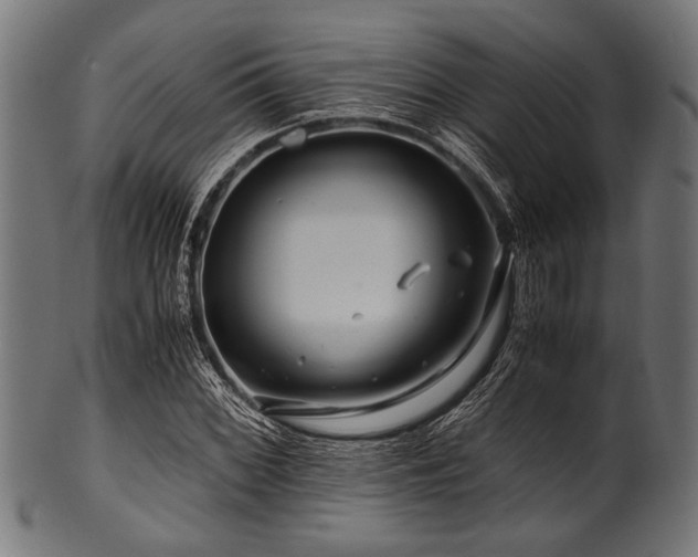 X0000100951068200806241458