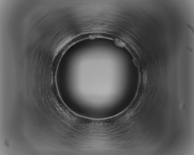 X0000100951069200806241458