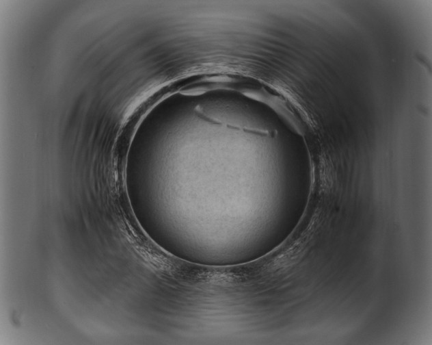 X0000100951070200806241458