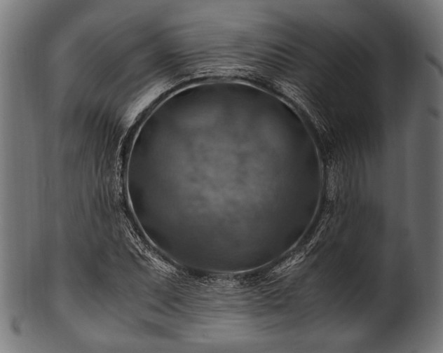 X0000100951071200806241458